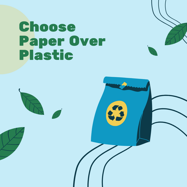 Why choose paper straws over plastic straws: Making sustainable choices.