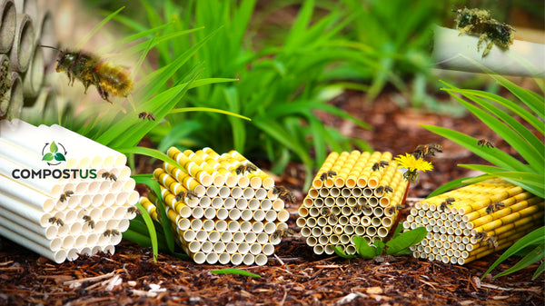 Building a Mason Bee House