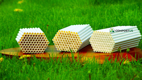 Mason Bee Nesting Tubes | 100% Biodegradable | 6mm, 8mm, 10mm | Unwrapped