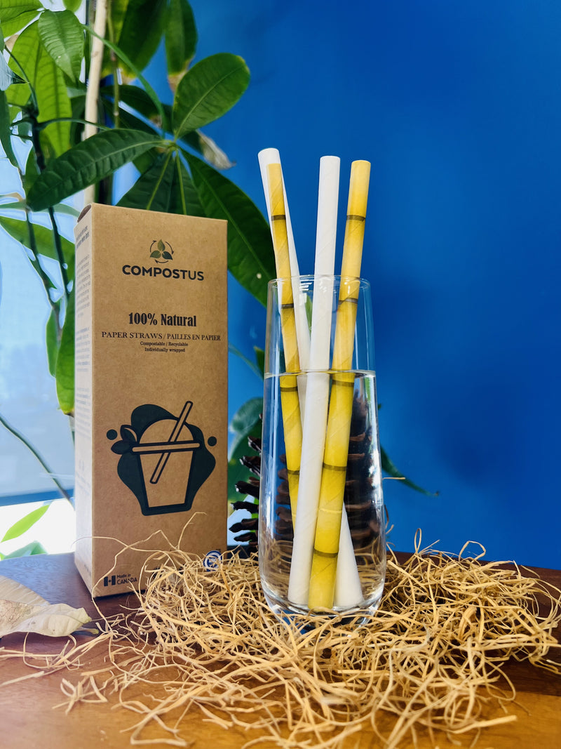 Jumbo Paper Straws | Individually Wrapped | 100% Biodegradable | 6mm x 7.75"