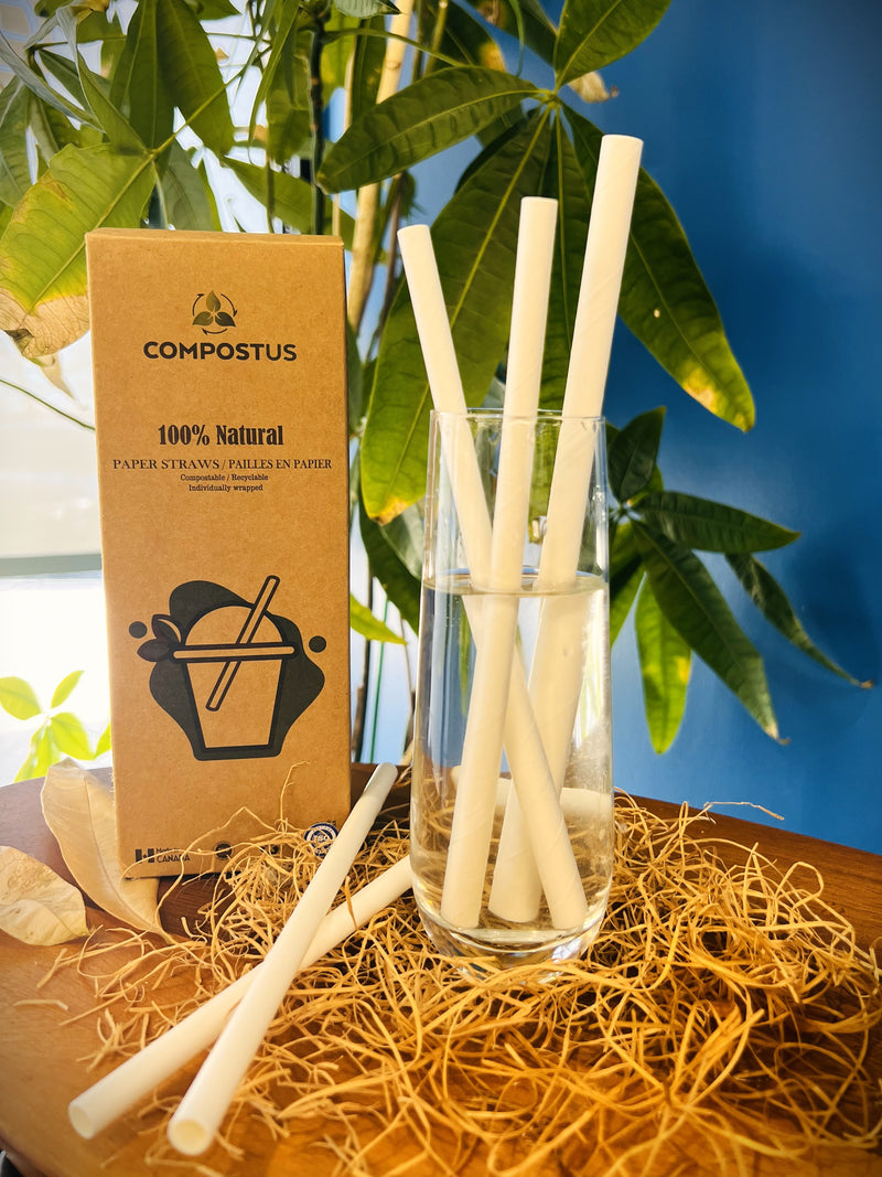 Jumbo Paper Straws | Individually Wrapped | 100% Biodegradable | 6mm x 7.75"