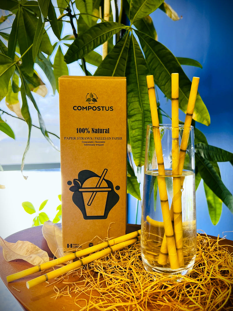 Giant Paper Straws | Individually Wrapped | 100% Biodegradable | 8mm x 7.75"